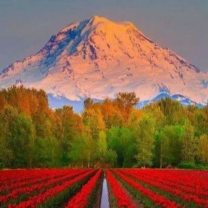 Meet your Posher, Juvenal